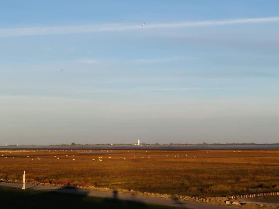 Schoene An Der Nordsee In